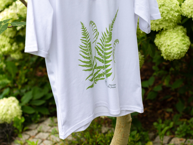 Lady fern — premium  t-shirt