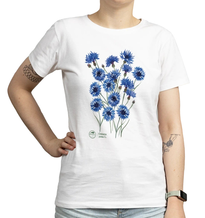 Cornflowers — women's t-shirt