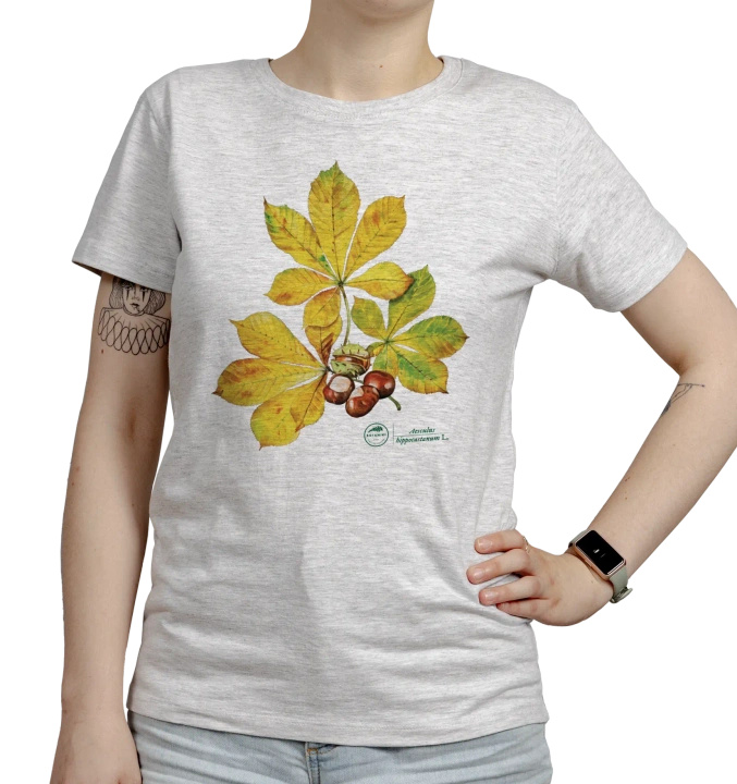 Chestnut tree — women's t-shirt