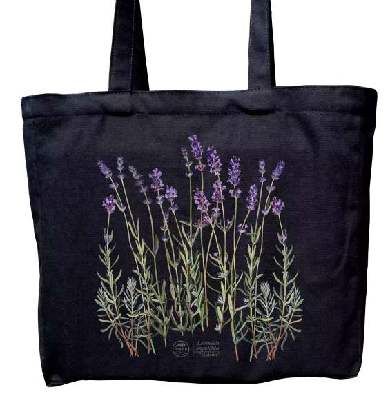 Lavender 'Hidcote' — cotton bag