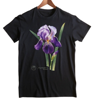 Iris 'Alcazar' — classic t-shirt