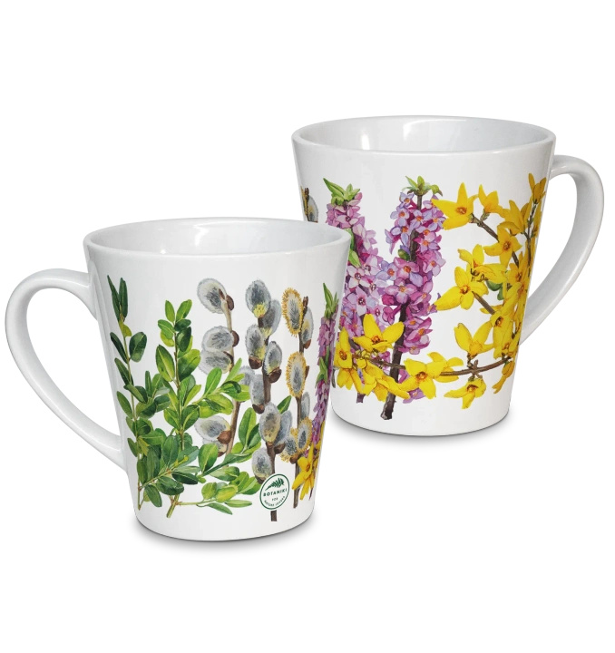 Spring shrubs — latte mug