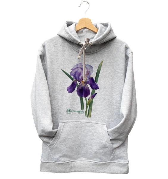 Bearded iris 'Alcazar' — hoodie