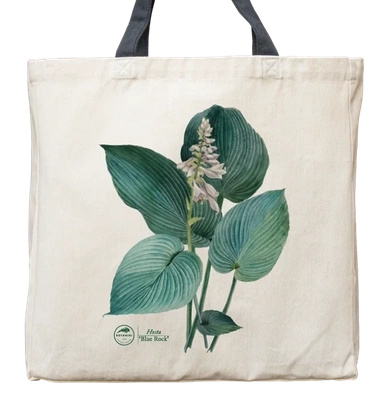 Hosta 'Blue Rock' — premium cotton bag