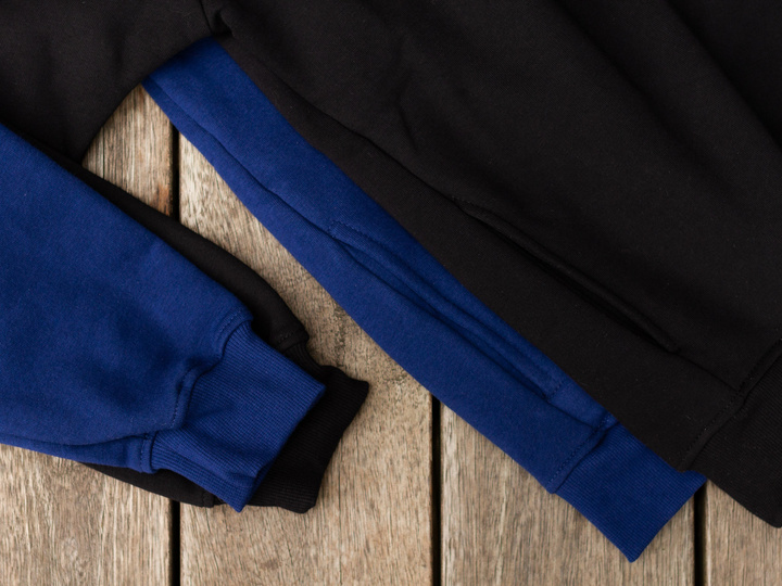 Lady fern — premium hoodie