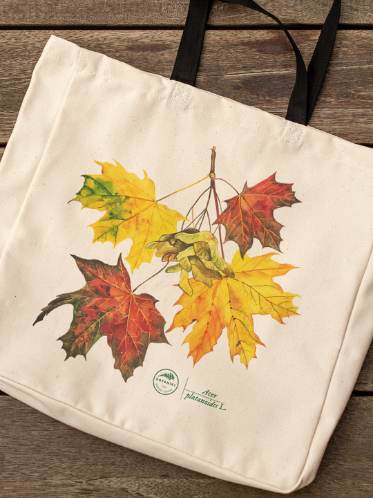 Norway maple — premium cotton bag