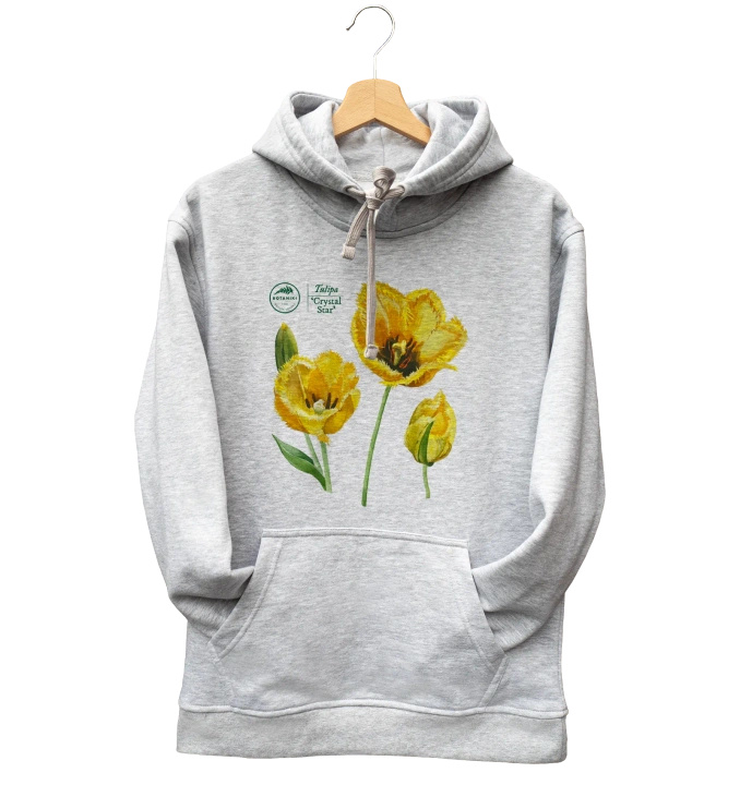 Tulips 'Crystal Star' — hoodie