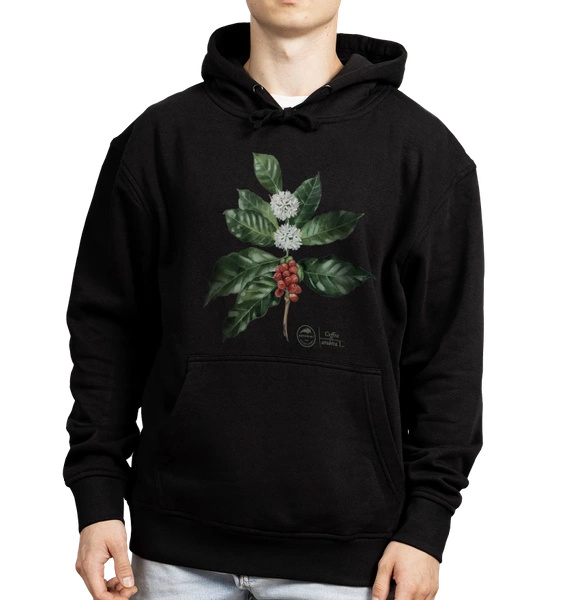 Coffea arabica — hoodie