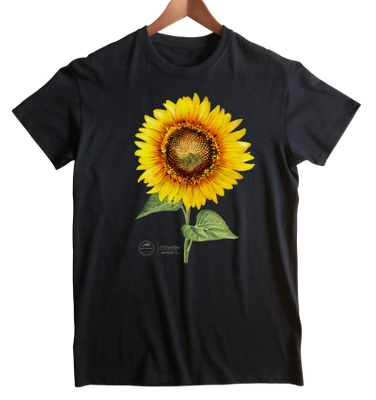 Common sunflower — classic t-shirt