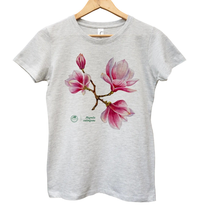 Saucer magnolia intermediate — women's t-shirt