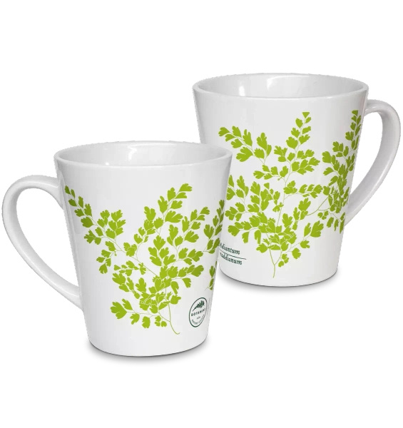 Maidenhair fern — latte mug