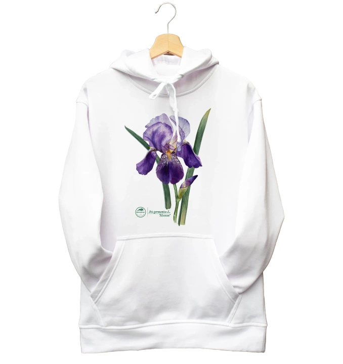 Bearded iris 'Alcazar' — hoodie