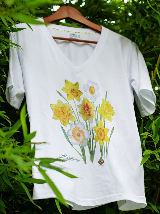 Daffodils — premium t-shirt