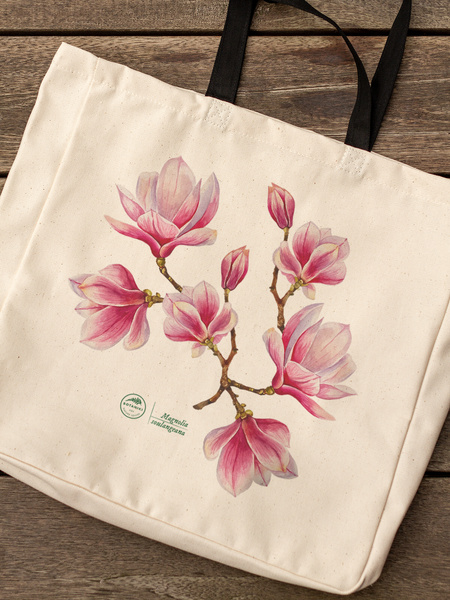 Saucer magnolia — premium cotton bag