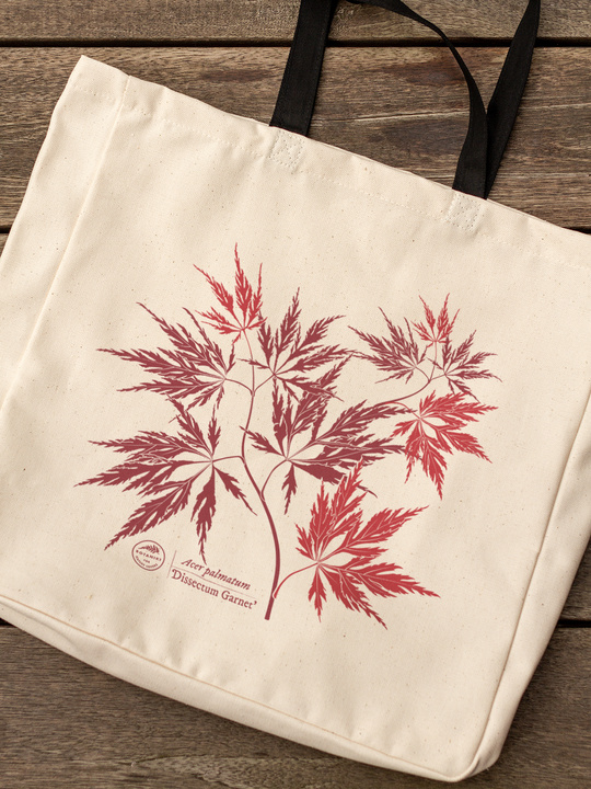 Acer Dissectum Garneta — premium cotton bag