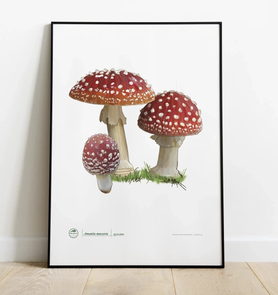 Fly agaric — plant motif poster