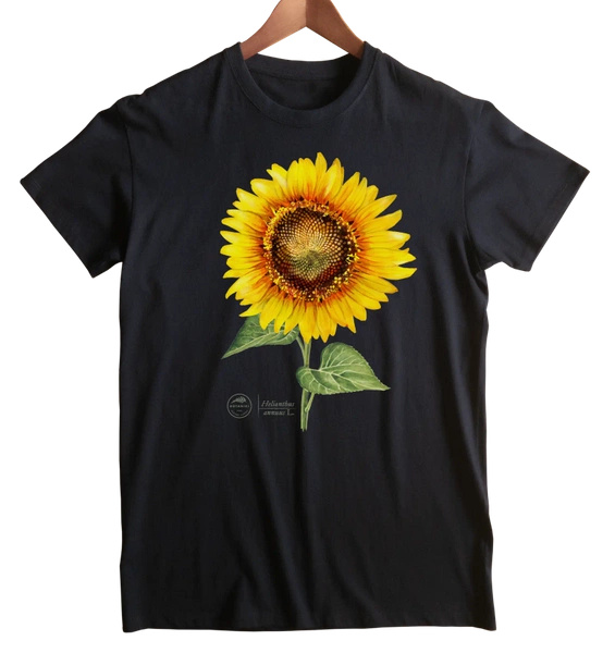 Common sunflower — classic t-shirt