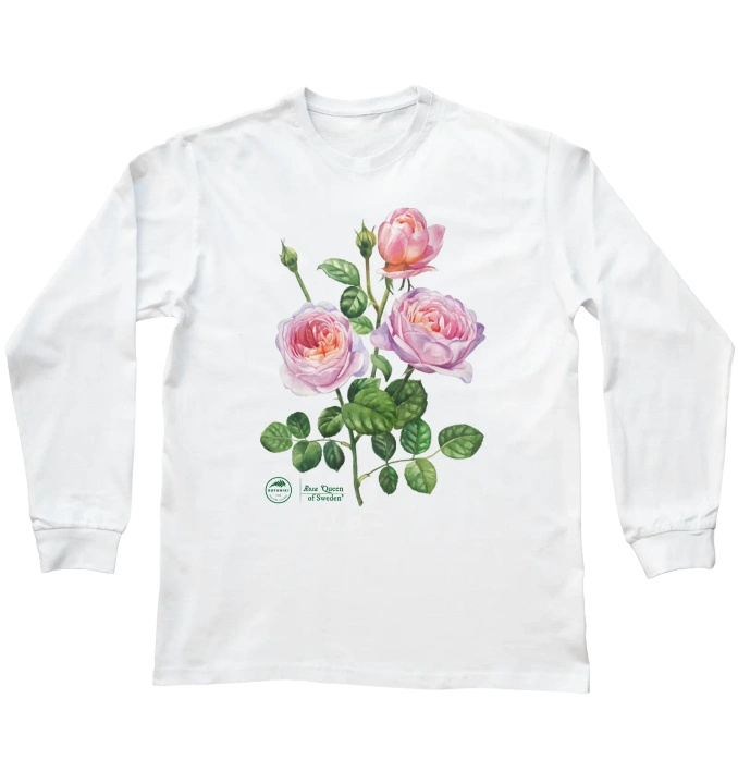 Rose 'Queen of Sweden' — long sleeve t-shirt unisex