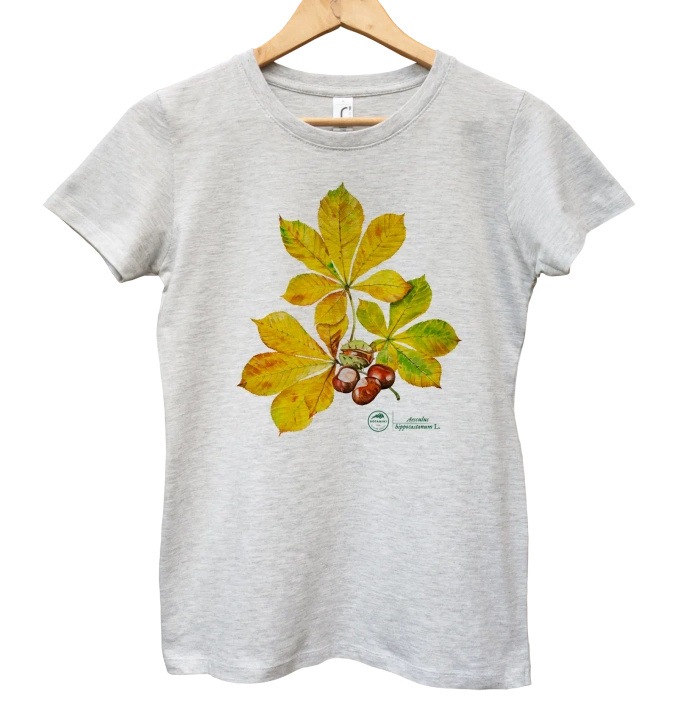 Chestnut tree — women's t-shirt
