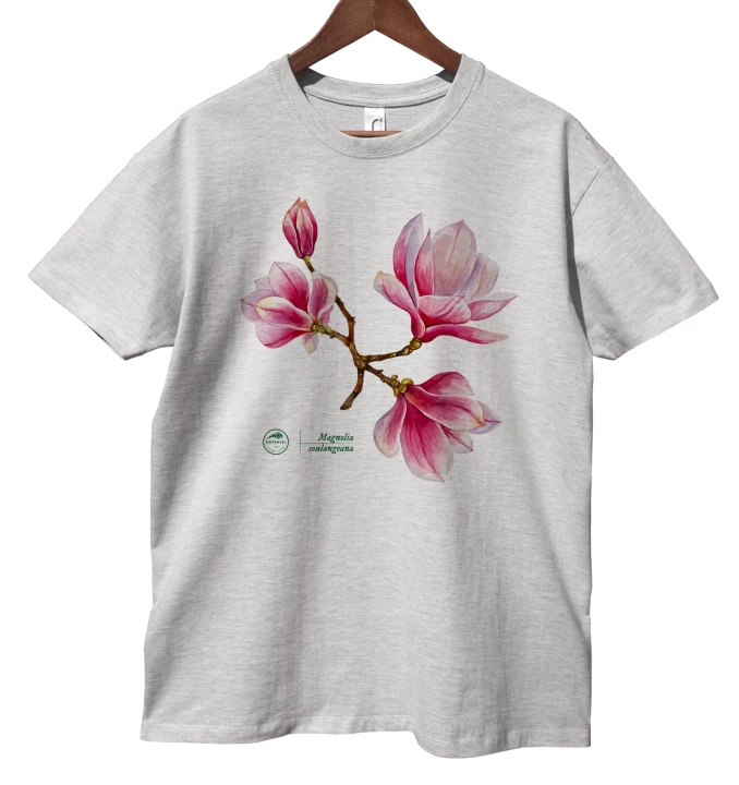 Saucer magnolia — classic t-shirt