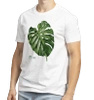 Swiss cheese plant — t-shirt classic