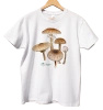 Parasol mushroom — classic t-shirt