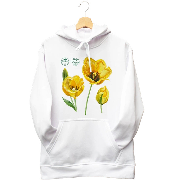 Tulips 'Crystal Star' — hoodie