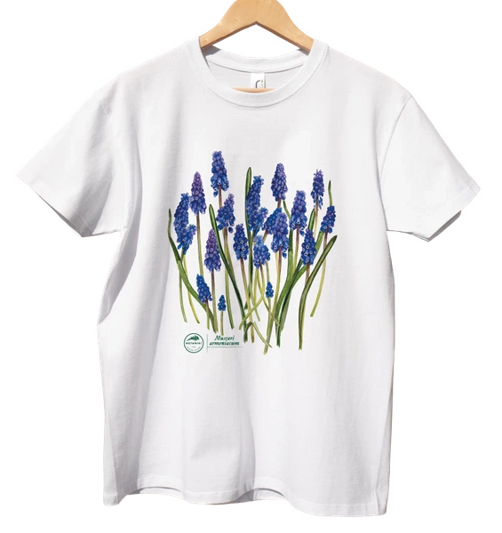 Armenian grape hyacinth — classic t-shirt