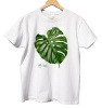 Swiss cheese plant — t-shirt classic