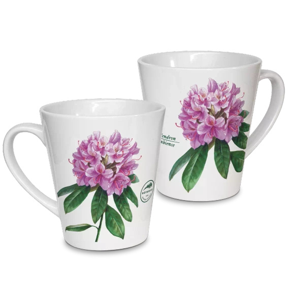 Catawba rosebay rhododendron — latte mug