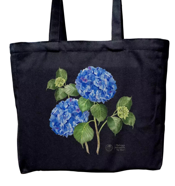 Hydrangea 'Jip Blue' — premium cotton bag