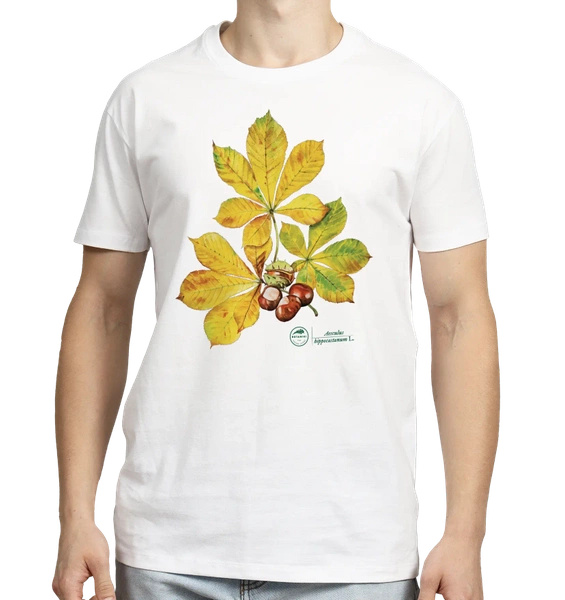 Chestnut tree — classic t-shirt