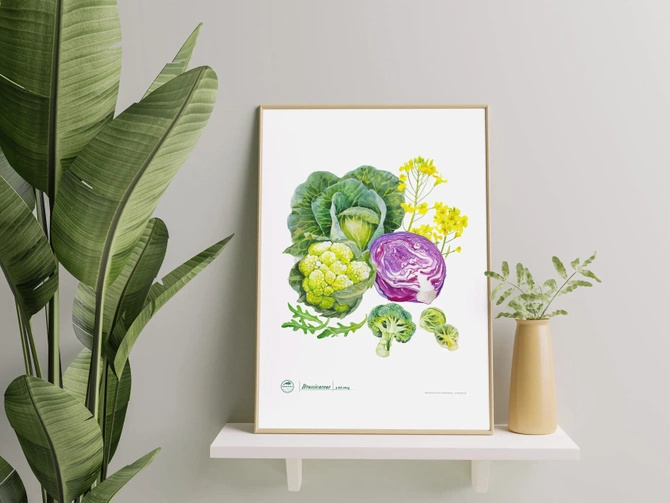 Cruciferous vegetables — plant motif poster