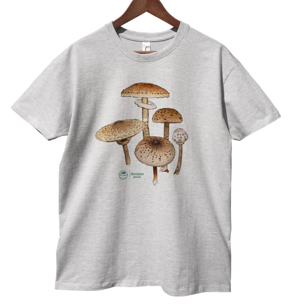 Parasol mushroom — classic t-shirt