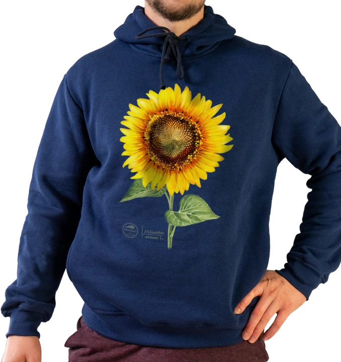 Common sunflower — premium hoodie