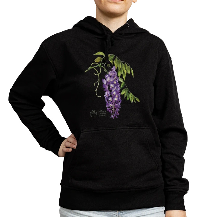 Chinese wisteria 'Prolific' — hoodie