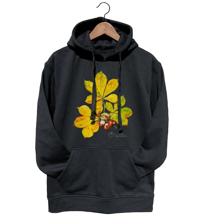 Horse chestnut — hoodie