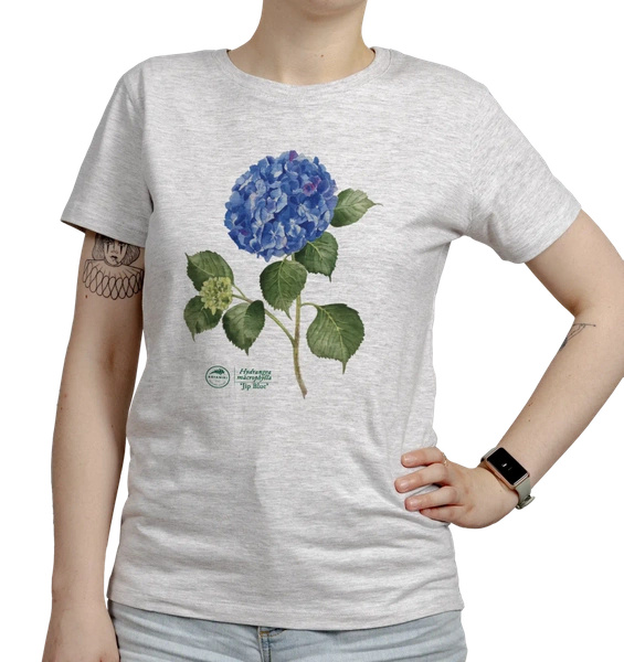 Hydrangea 'Jip Blue' — women's t-shirt