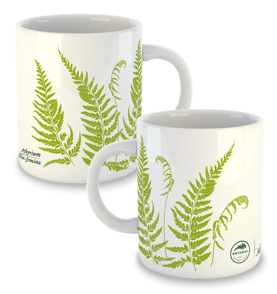 Lady fern — classic mug