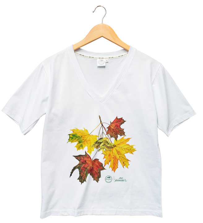 Norway maple — premium  t-shirt