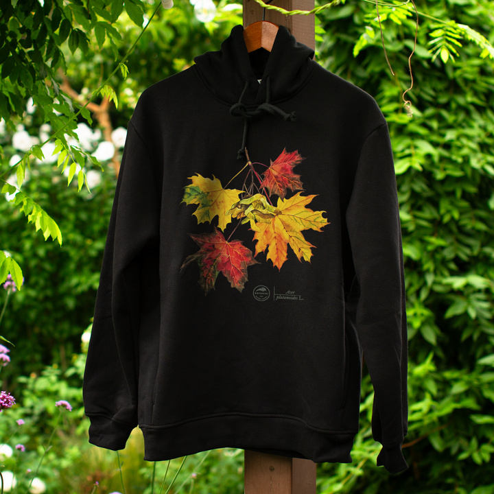 Norway maple — premium hoodie