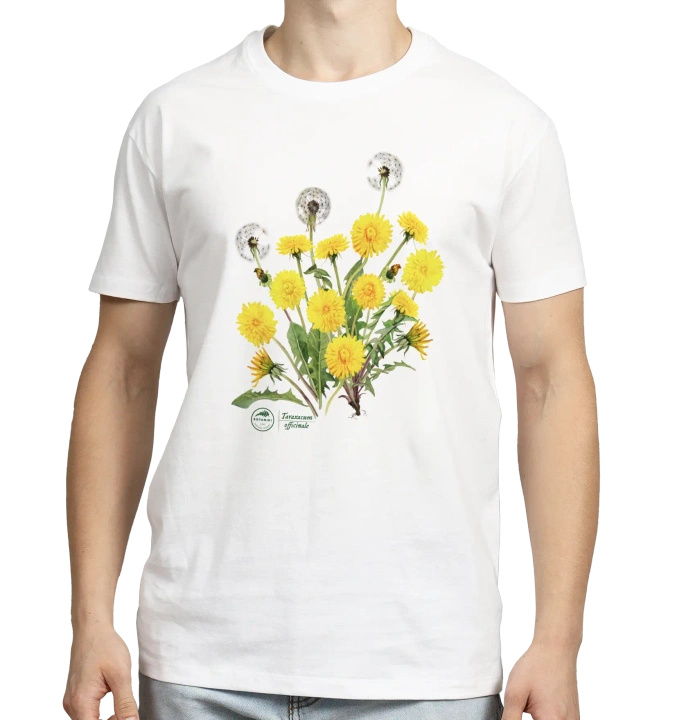 Dandelion — classic t-shirt