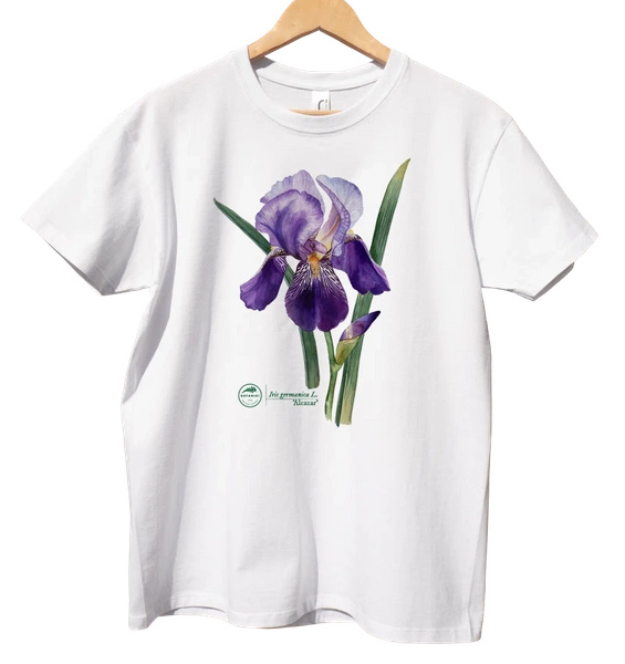 Iris 'Alcazar' — classic t-shirt