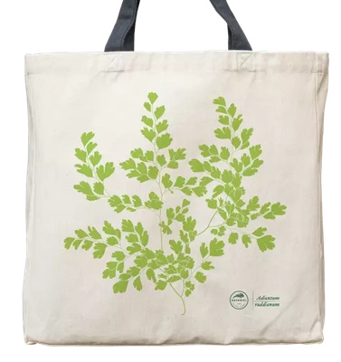 Maidenhair fern — premium cotton bag