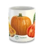 Cucurbit vegetables — classic mug