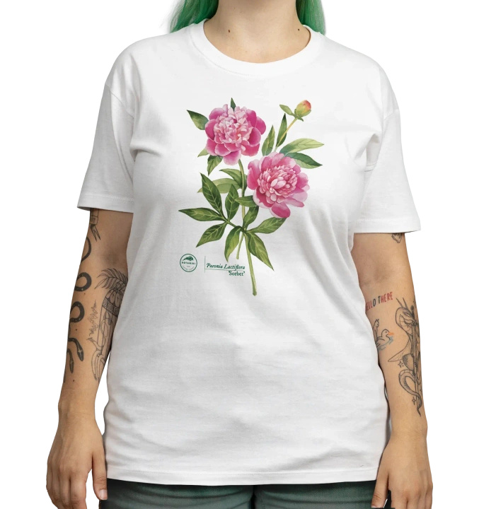 Chinese peony 'Sorbet' — classic t-shirt