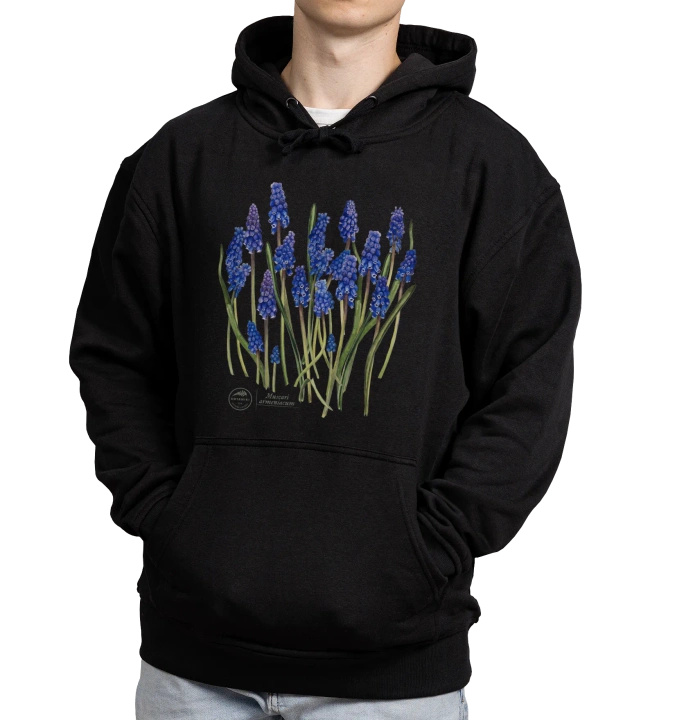 Armenian grape hyacinth — hoodie