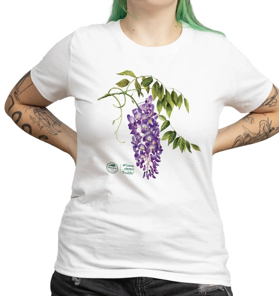 Chinese wisteria 'Prolific' — women's t-shirt