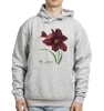 Daylilies 'Black Emanuelle' — hoodie