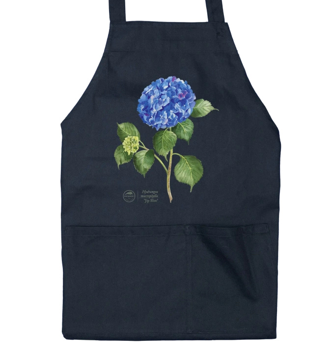 Hydrangea 'Jip Blue' — apron with pockets